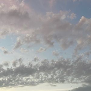 Meet your Posher, Tokyo